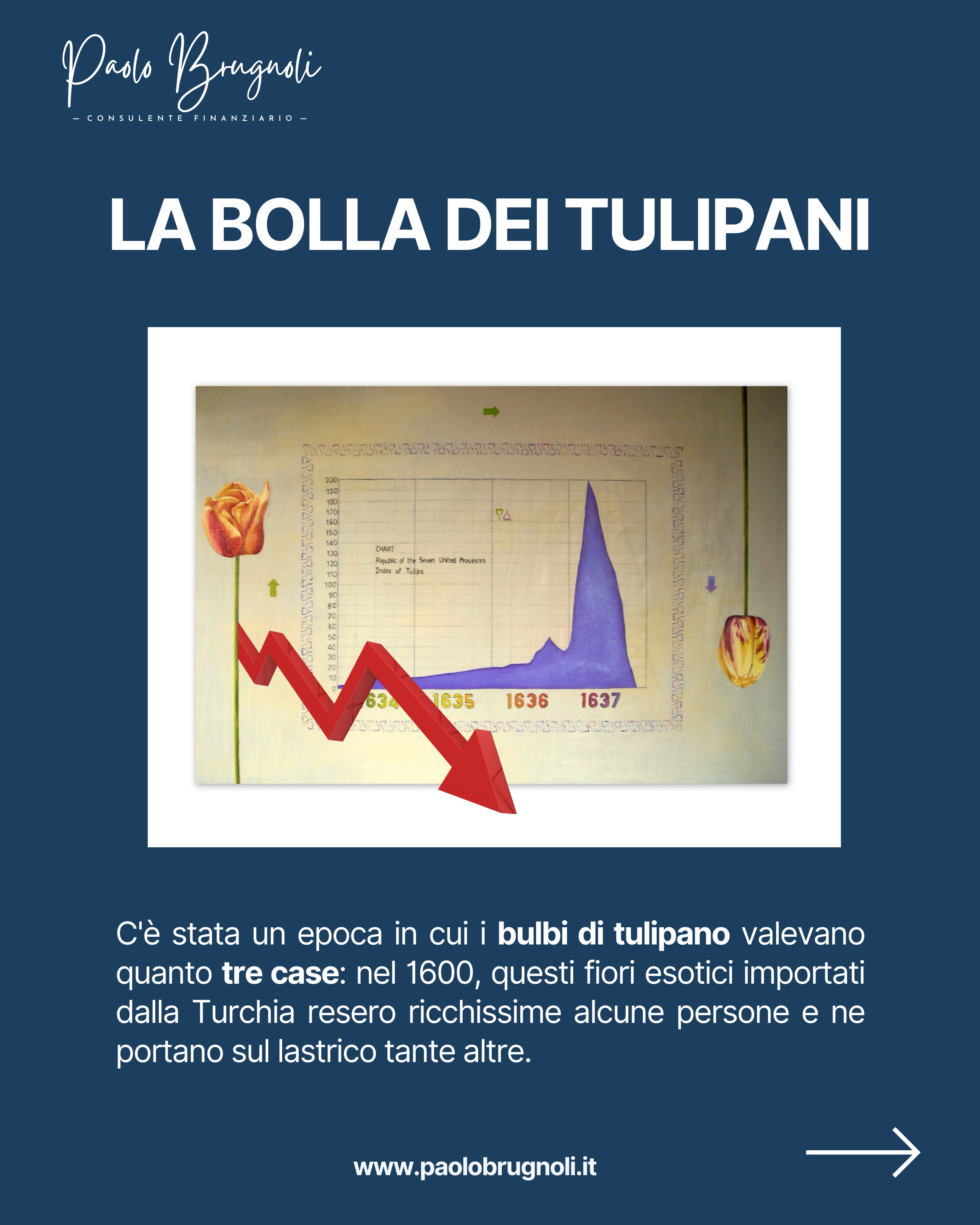 La bolla dei tulipani