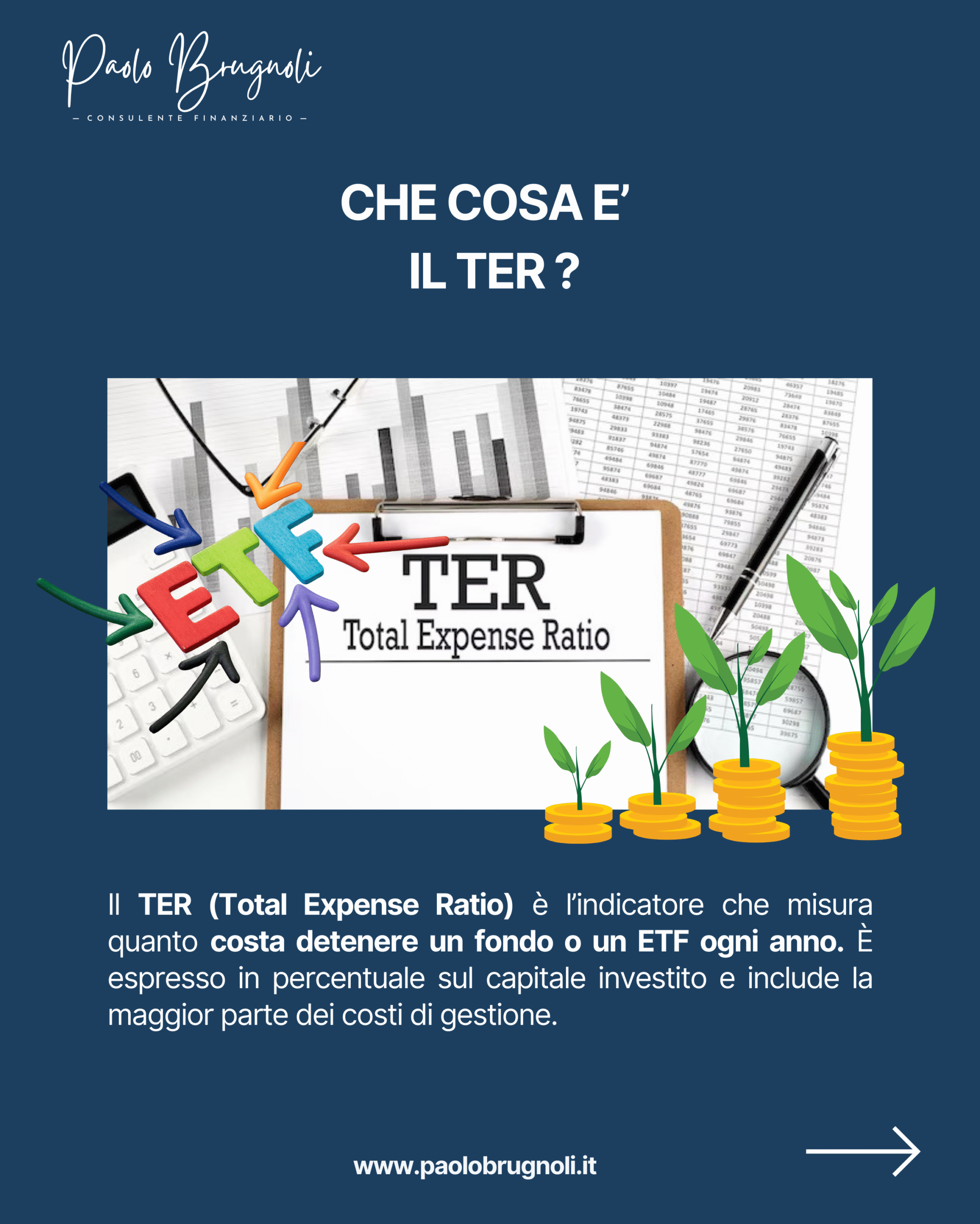 Che cosa è il TER?